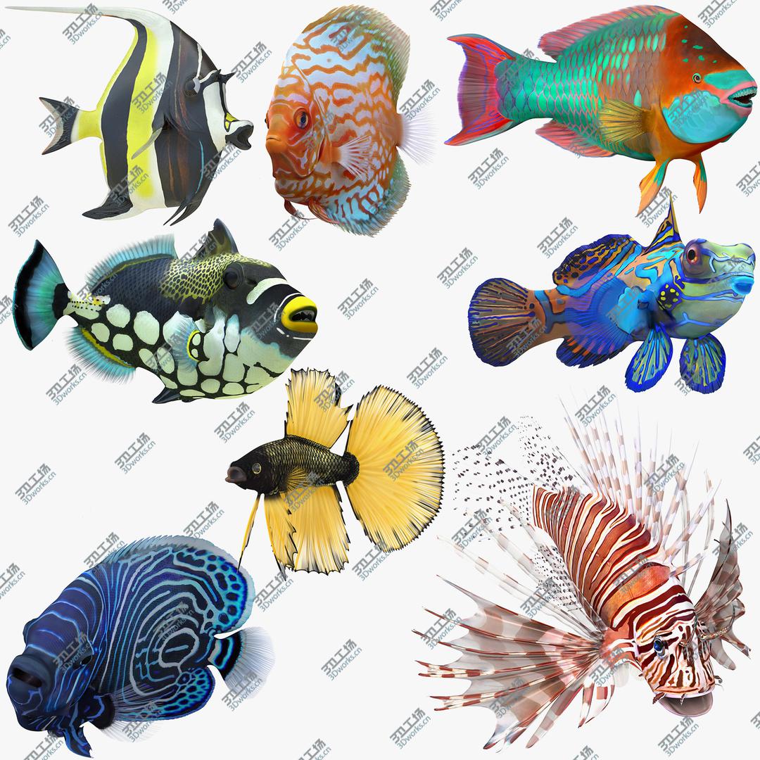 images/goods_img/202105072/Coral Fishes Rigged Collection 2 for Cinema 4D model/1.jpg